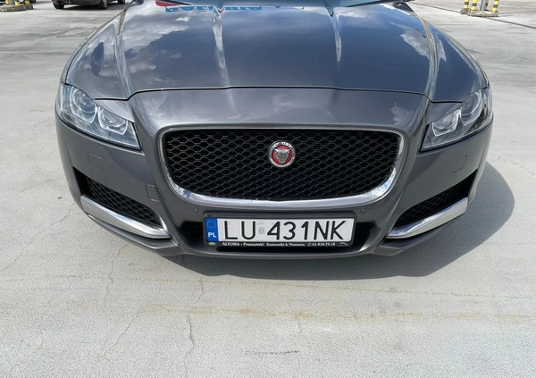 Jaguar XF cena 39900 przebieg: 170000, rok produkcji 2016 z Lublin małe 631